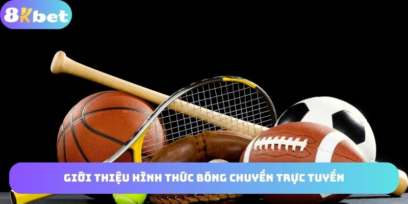 Hình thức bóng chuyền trực tuyến có sức hút lớn